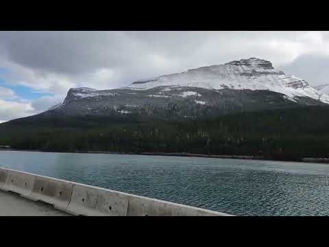 Field Canada October 2 2024