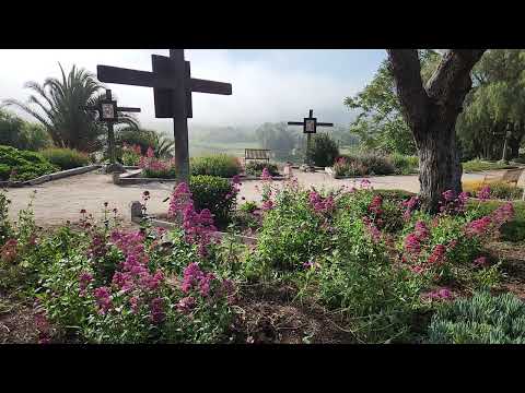 Hummingbird Solvang California May 10 2024