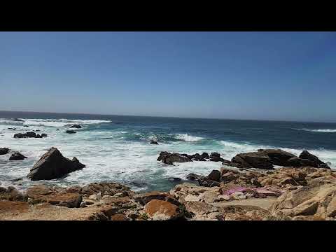 California May 9 2024
