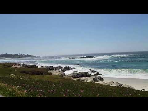 California May 9 2024