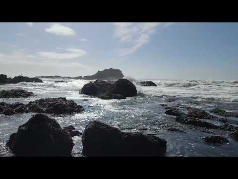 Newport Oregon Sept 27 2024