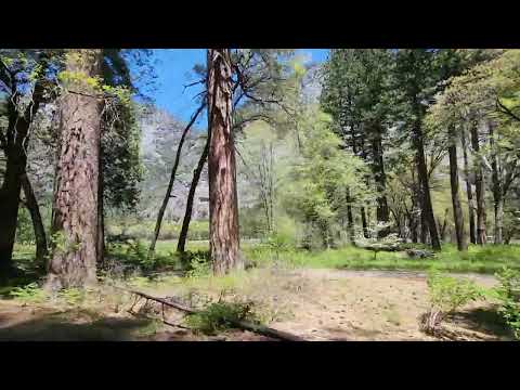 Yosemite National Park May 8 2024