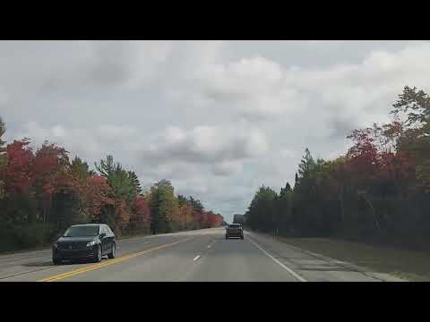 Germany Michigan Sept 29 2026