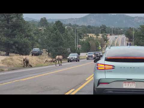 Estes Park Aug 29 2025