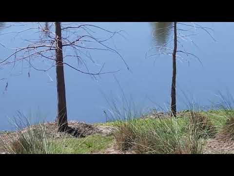 Wintergarden Florida Feb 23 2025