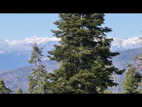 Hume California May 7 2024