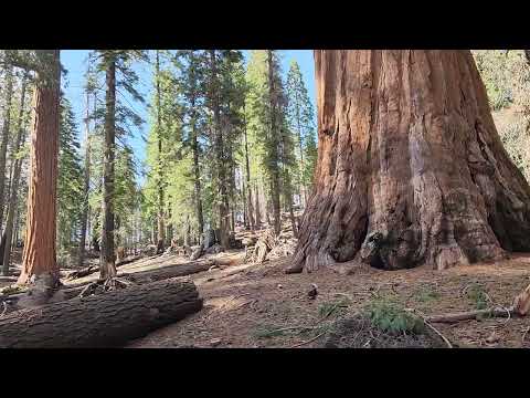 Kings Canyon National Park May 2024