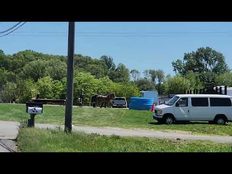 Amish in Pennsylvania