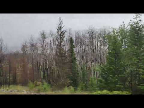 Foggy start of drive on Icefields Parkway July 2026