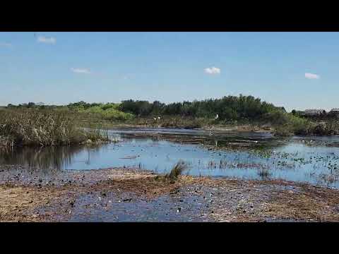 Everglades