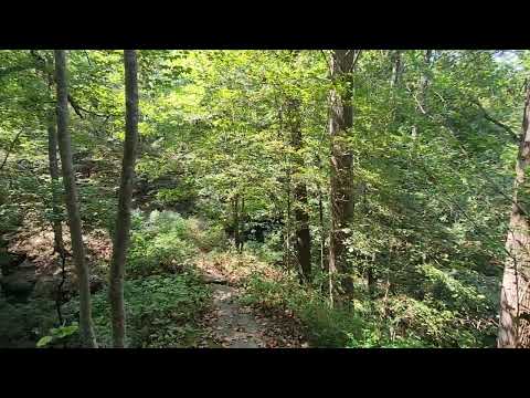 Hike in Shawnee National Forest Sept 16 2026