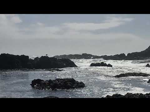 Newport Oregon September 27 2024