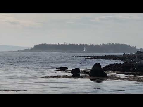 Lighthouse in bay at Indian Harbor Nova Scotia May 2025