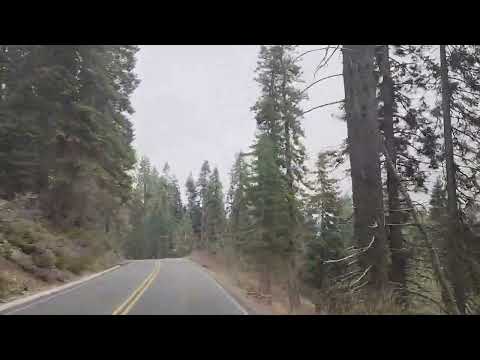 Sequoia National forest May 7 2024