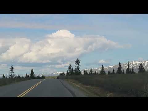 Denali National Park June 2026