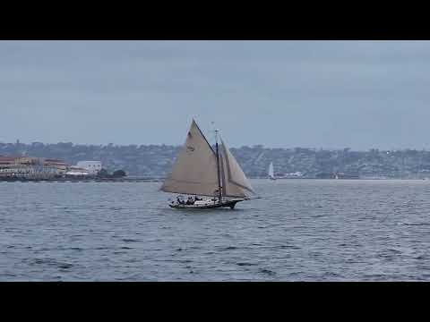 San Diego May 10 2024