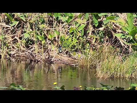 Everglades National Park