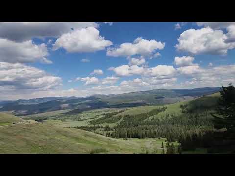 Yellowstone