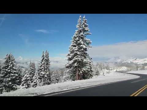 Almont Colorado Sept 22 2024