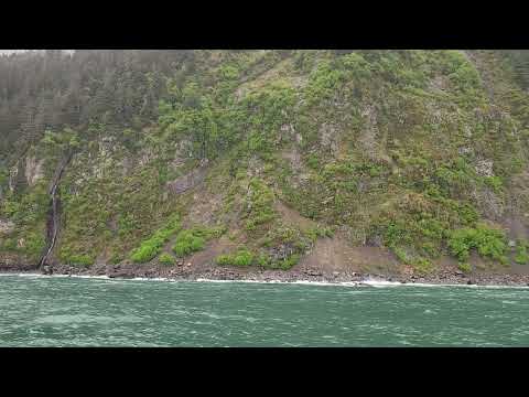 Seward June 14 2026