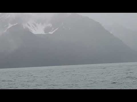 Brrr its cold out here June 14 2026 Seward Alaska