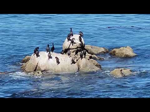 Monterey California May 9 2024