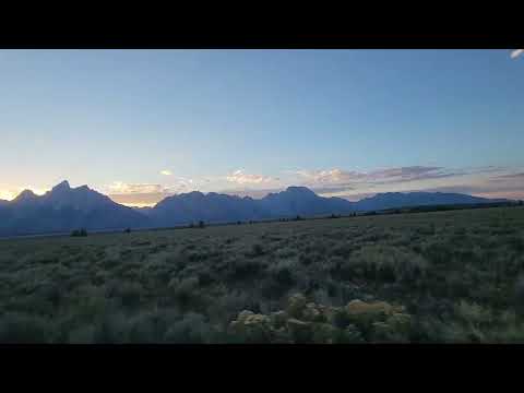 Moose Wyoming October 4 2024