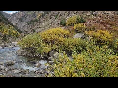 Peaceful moment on trail in Colorado Sept 22 2024