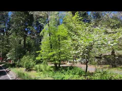 May 8 2024 Yosemite National Park
