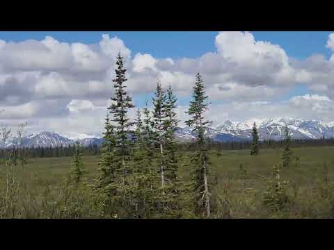 Cantwell Alaska June 12 2026