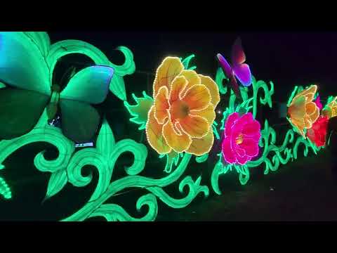 Flower lanterns