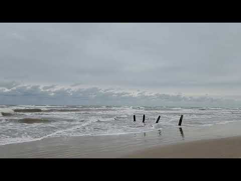 Beach in Bagdad Mexico Jan 10 2025
