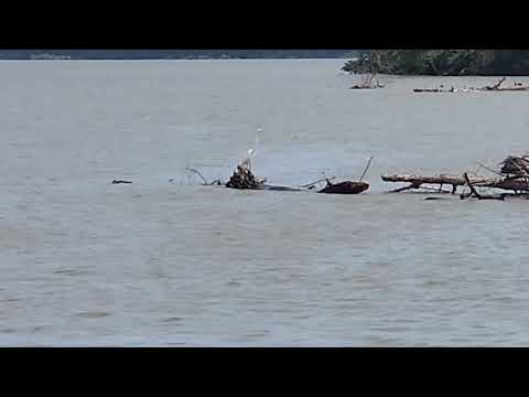 Portage Des Sioux Aug 23 2026