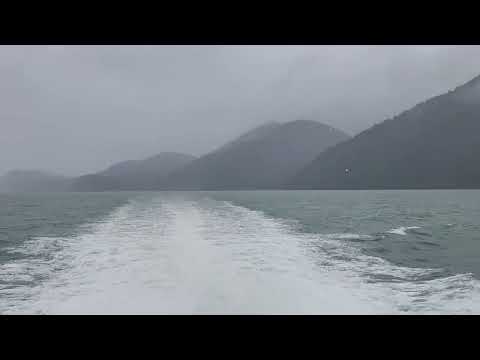 Boat tour Seward