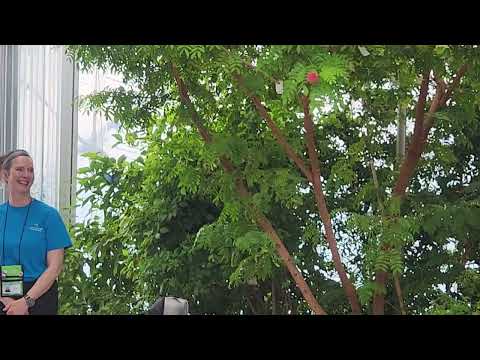Butterfly garden Winnipeg Canada June 5 2026