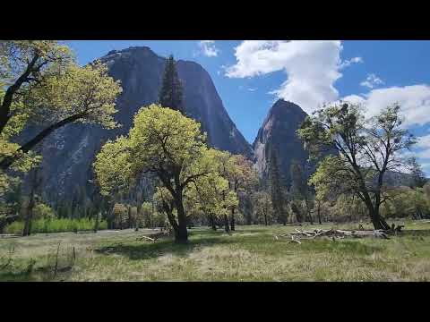 Yosemite National Park May 8 2024