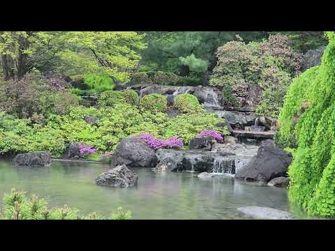 Canadian garden