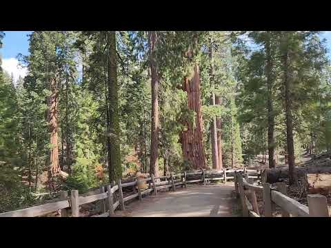 Sequoia National Forest