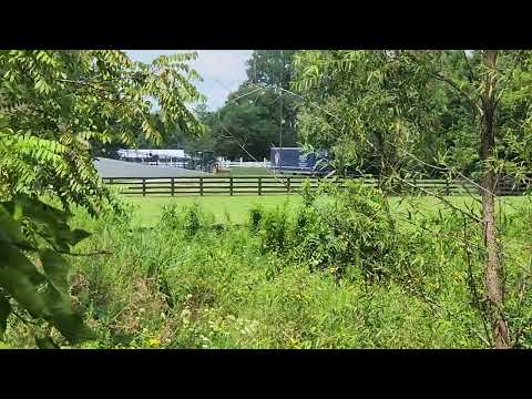 Kentucky Horse Farm July 2026