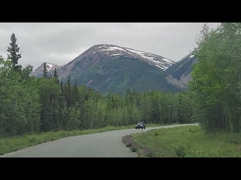 Wildflowers and mountains June 2026 Dease Lake hwy Canada