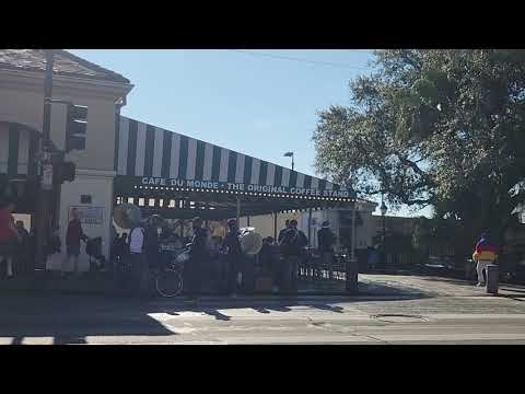 Had to stop in and get beignets