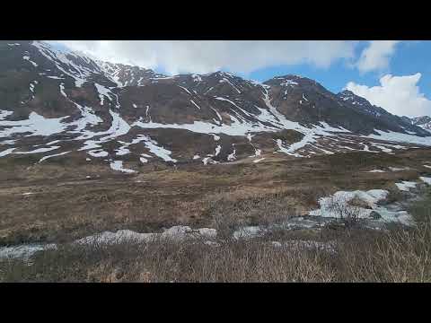 Palmer Alaska June 12 2026