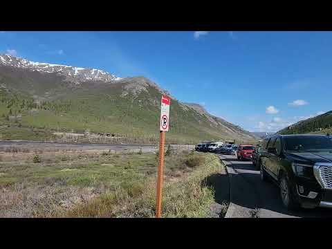 Denali National Park June 12 2026