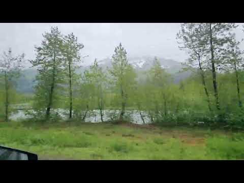 Anchorage June 14 2026
