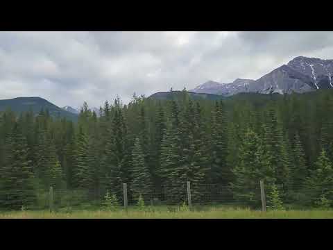 Trans Canada highway June 2026