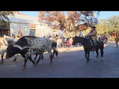 Fort Worth Texas