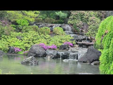 Jardin Botanique Ottawa Canada May 18 2025