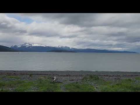 June 13 2026 Homer Spit Alaska