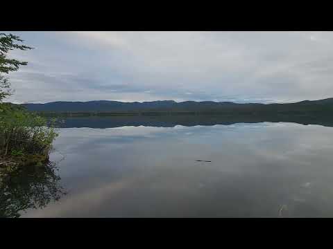 Dease Lake Canada June 2026