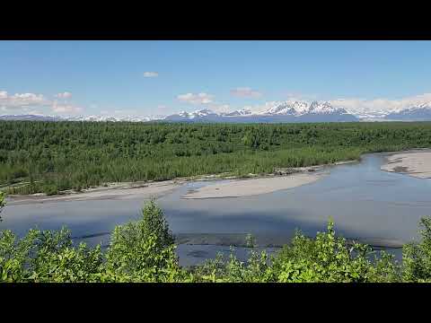 Trapper Creek Denali viewpoint June 12 2026